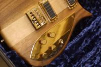 Rickenbacker 650-S Sierria body.jpg